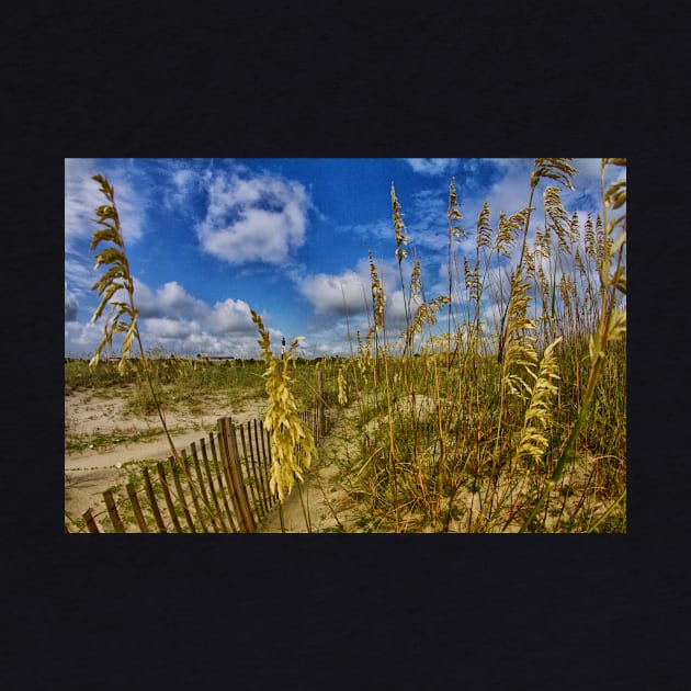 Tybee Island, Georgia by Gestalt Imagery